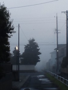 0827霧の濃い日